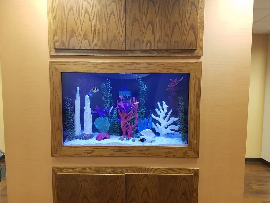 Built-in aquarium surrounded by wooden cabinetry on an orange wall. The tank has colorful coral and fish.