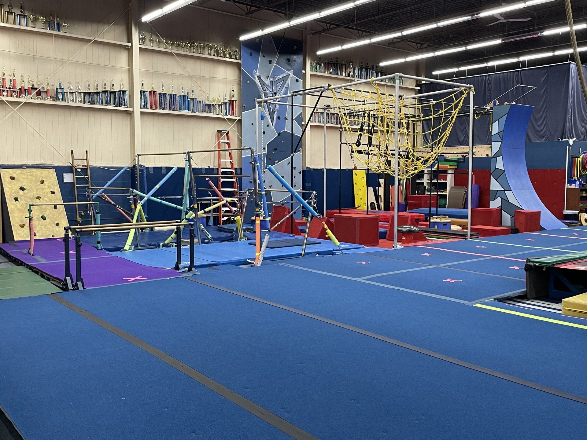 Next Dimension Gymnastics image