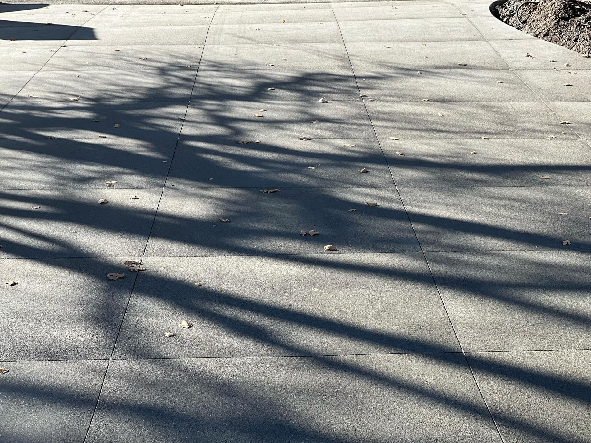 A shadow of a tree is cast on a sidewalk