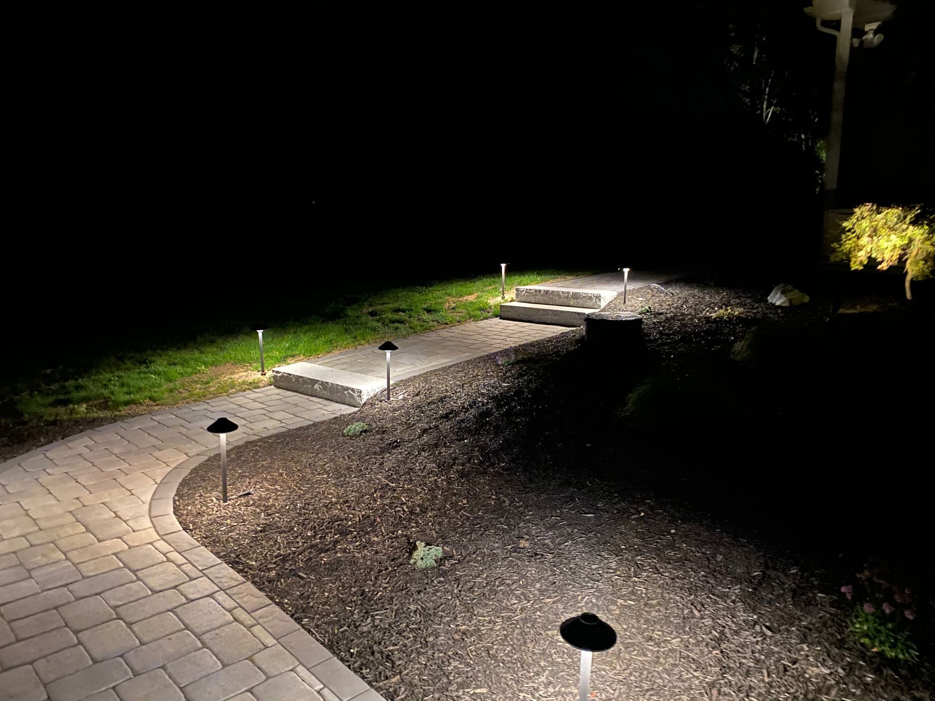 Pathway illuminated by landscape lighting at night.