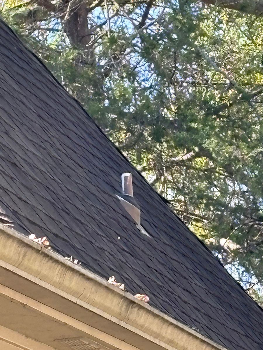 Steep dark shingled roof with a small vent pipe and leafy tree branches above