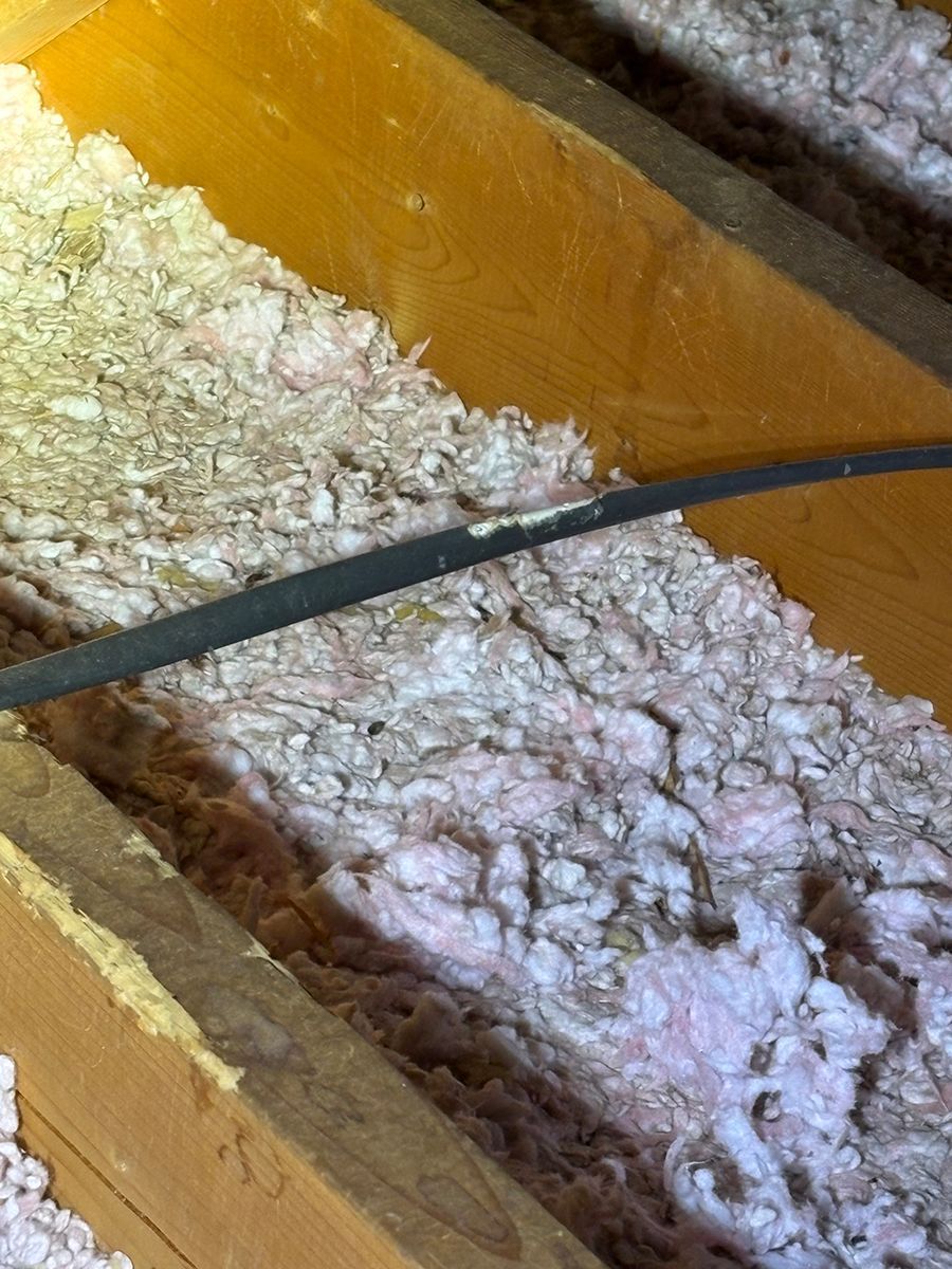 Close-up of white, fluffy insulation between wooden beams with a black cable crossing diagonally