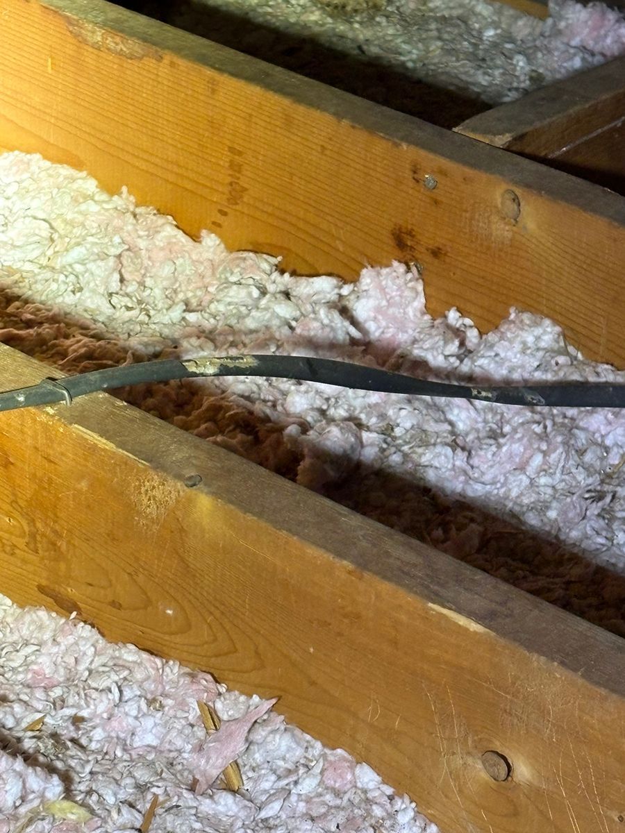 Wooden rafters with white spray foam insulation in an attic space