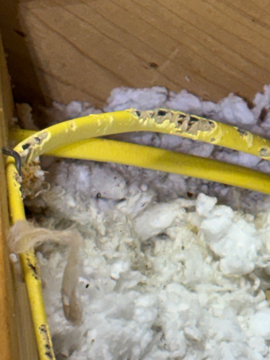 Yellow metal frame in a cardboard box packed with white insulation or stuffing