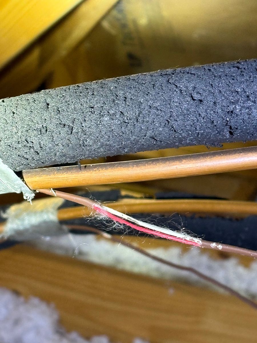 Close-up of exposed electrical wires and insulation inside a wall or ceiling cavity.