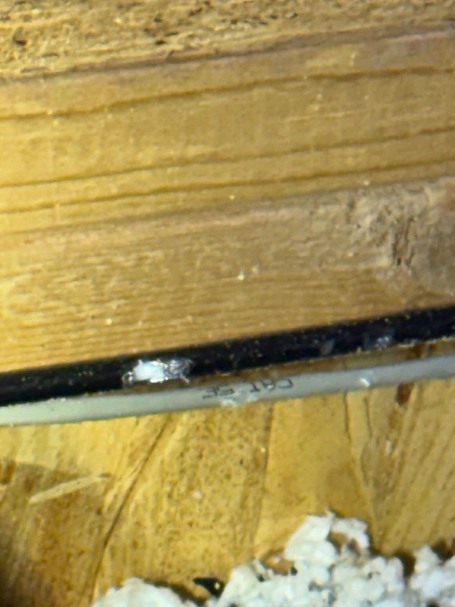 Close-up of a wooden surface with a black gap and white debris near the bottom edge