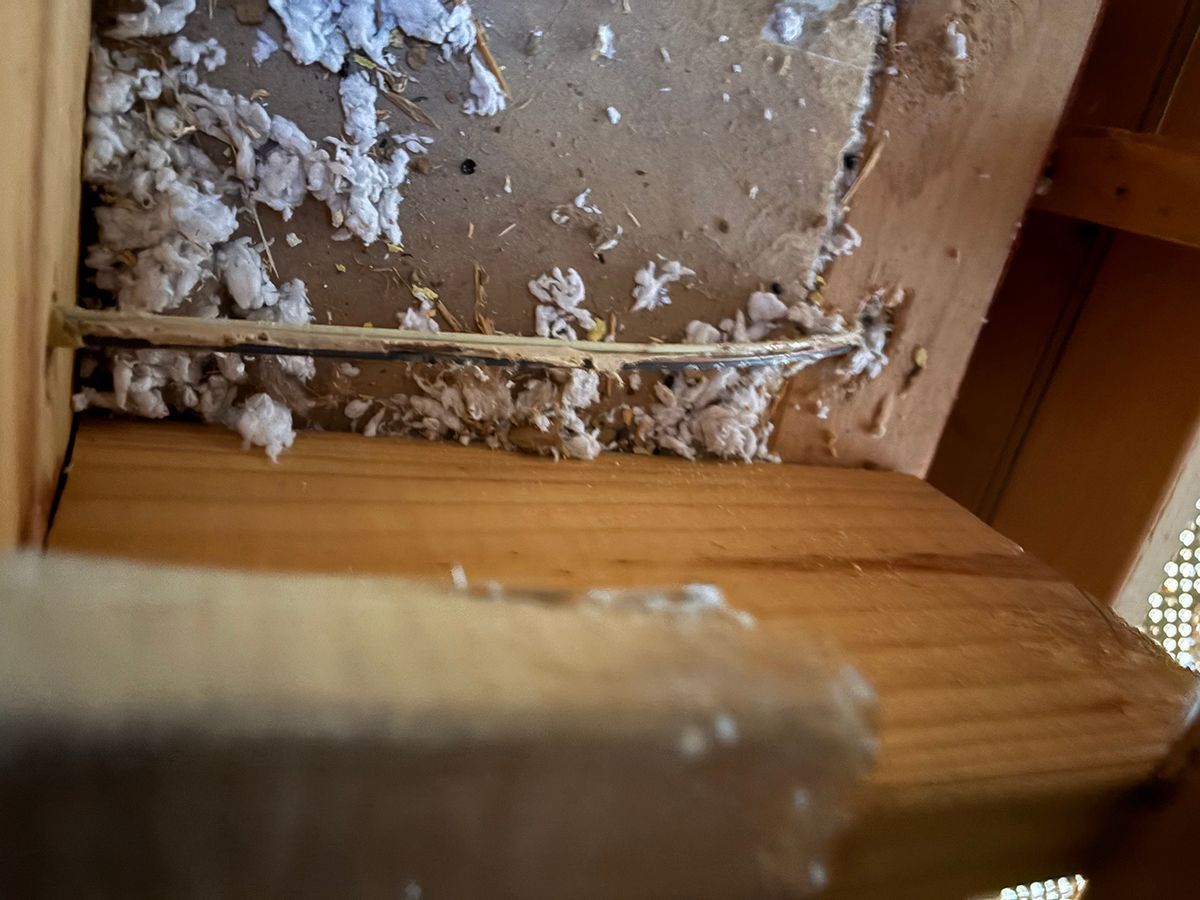 Close-up of a wooden beam and wall corner with white debris or mold buildup.