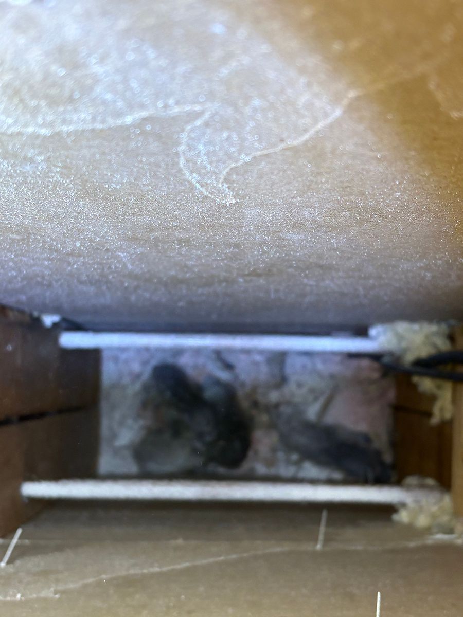 Top-down view of a dusty narrow opening with white rails and a dark stain on the floor.