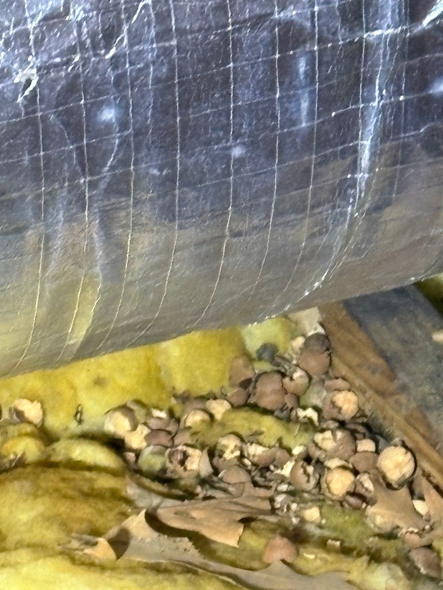 Dark gray pipe above yellow insulation and a pile of small rocks in a cramped space