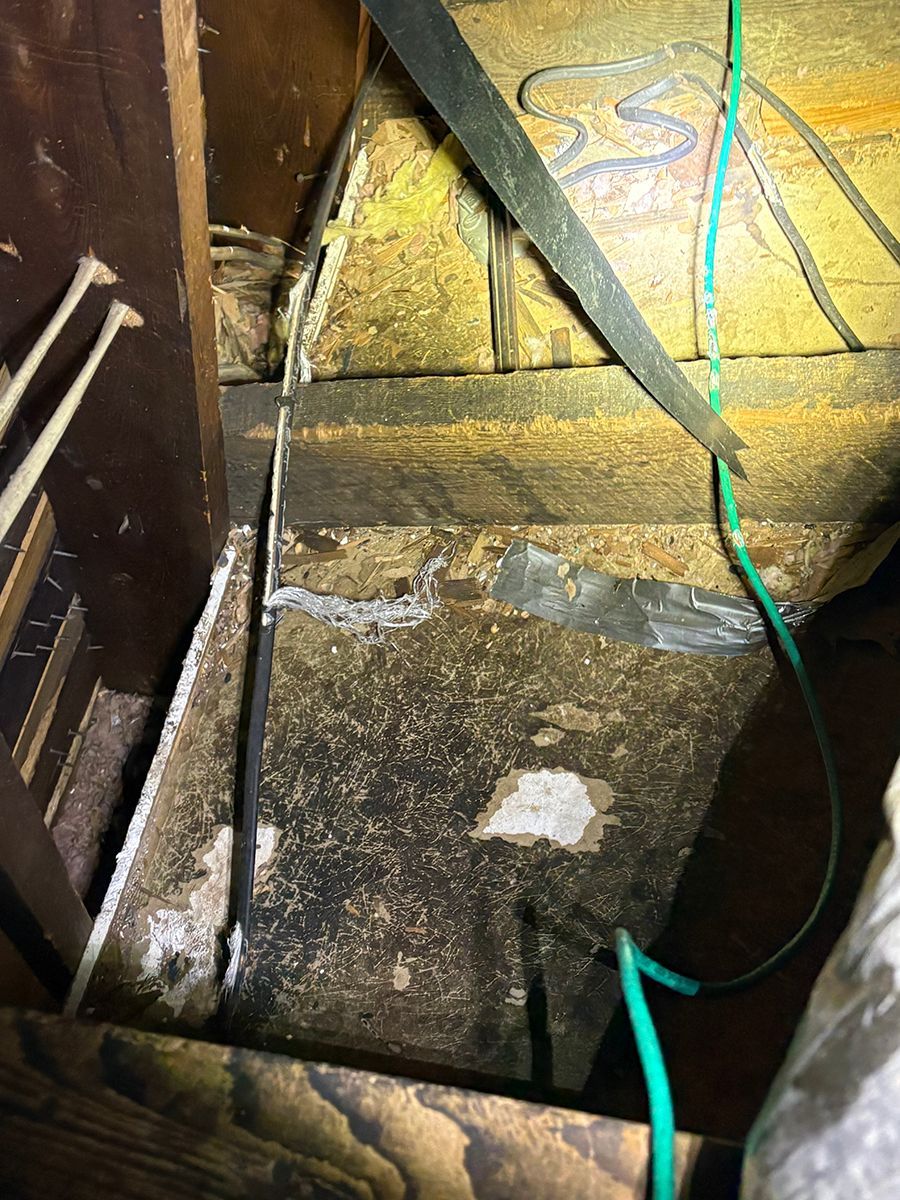 Damp basement floor with exposed insulation, wood framing, and green hose or cable under bright light