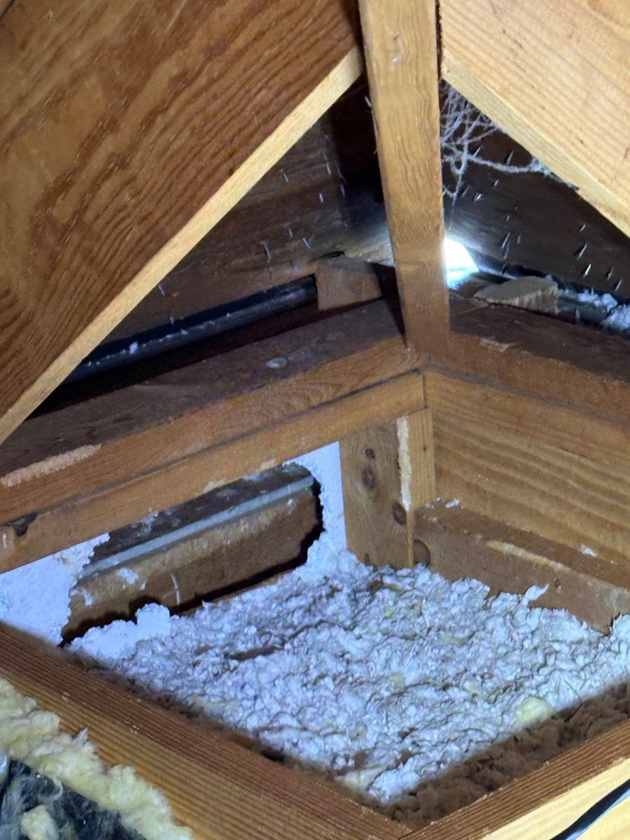 Open attic hatch with blown-in white insulation and exposed wooden framing