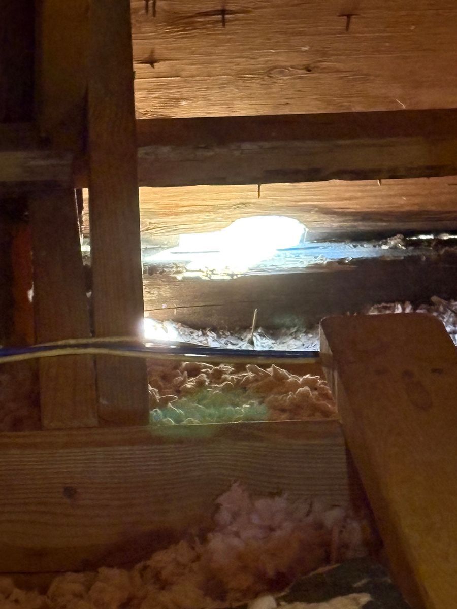 Small animal peering through a wooden slat gap into a bright opening under a structure