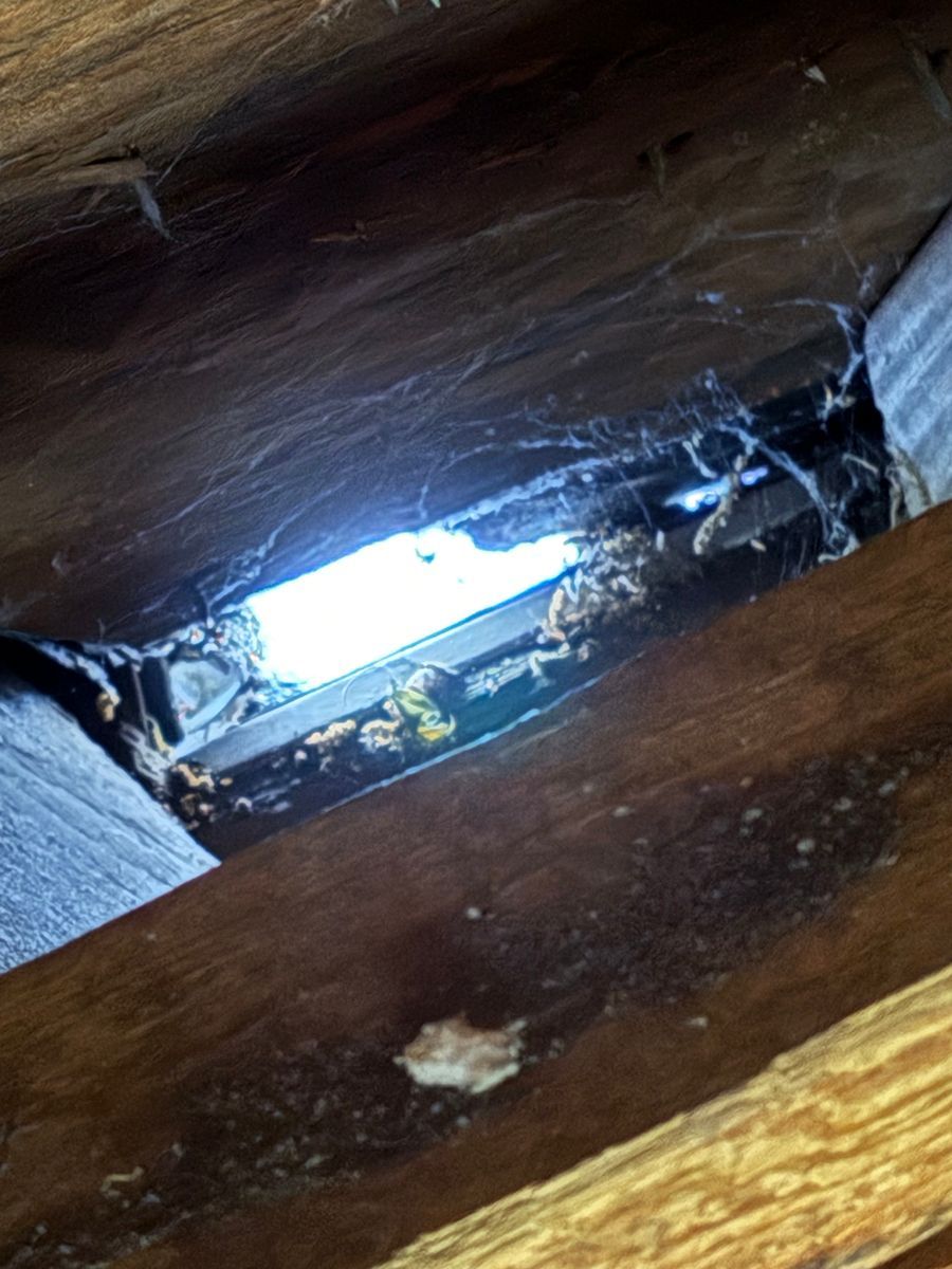 Close-up of a small gap in wooden boards with bright light shining through.