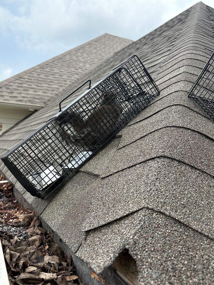 Collapsed black wire crate on a roof with damaged shingles and debris beneath it