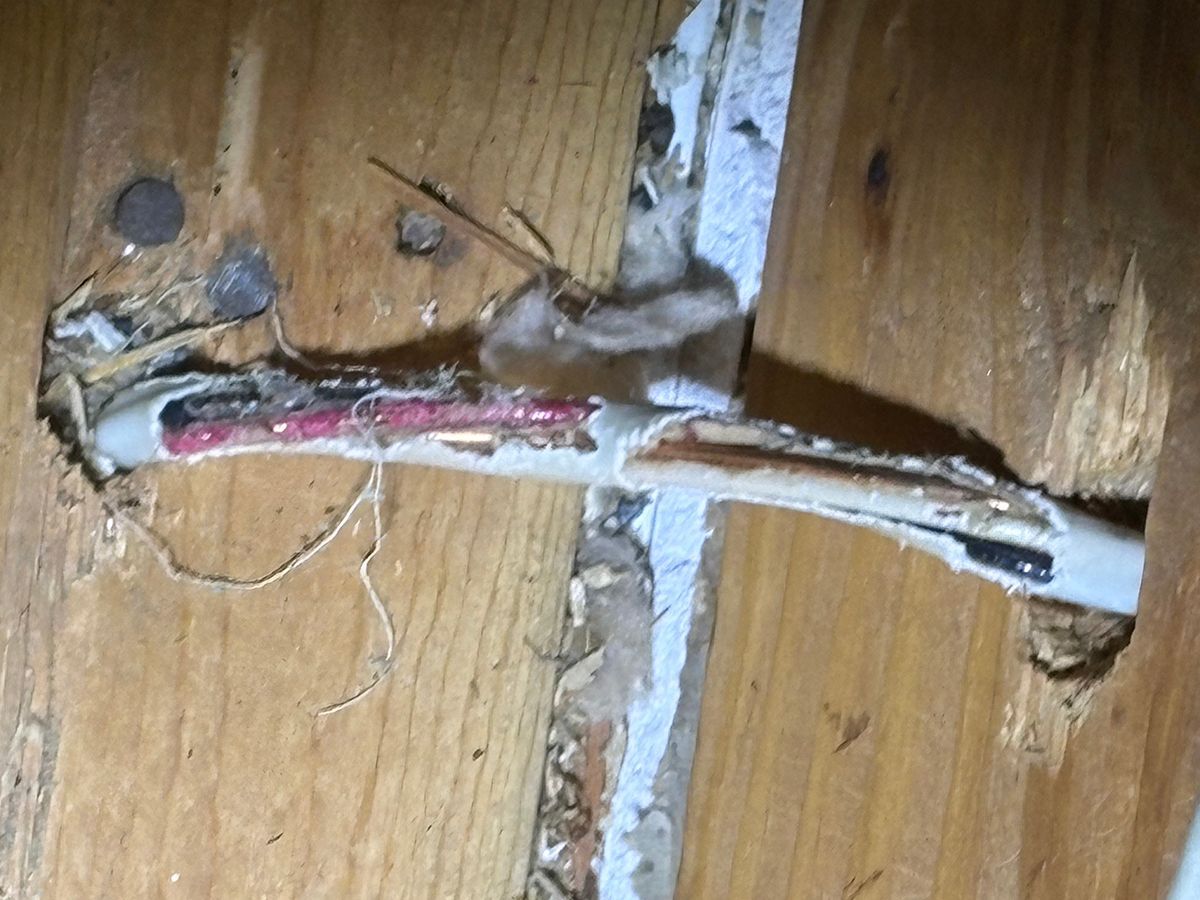 Broken wooden floorboards with exposed red wiring and loose insulation