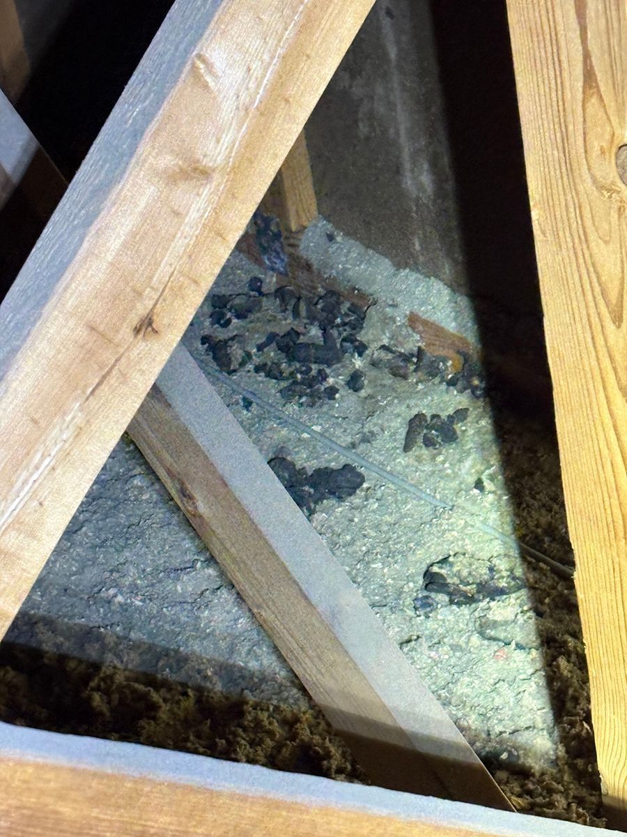 Wooden roof framing with a dusty attic floor and scattered debris