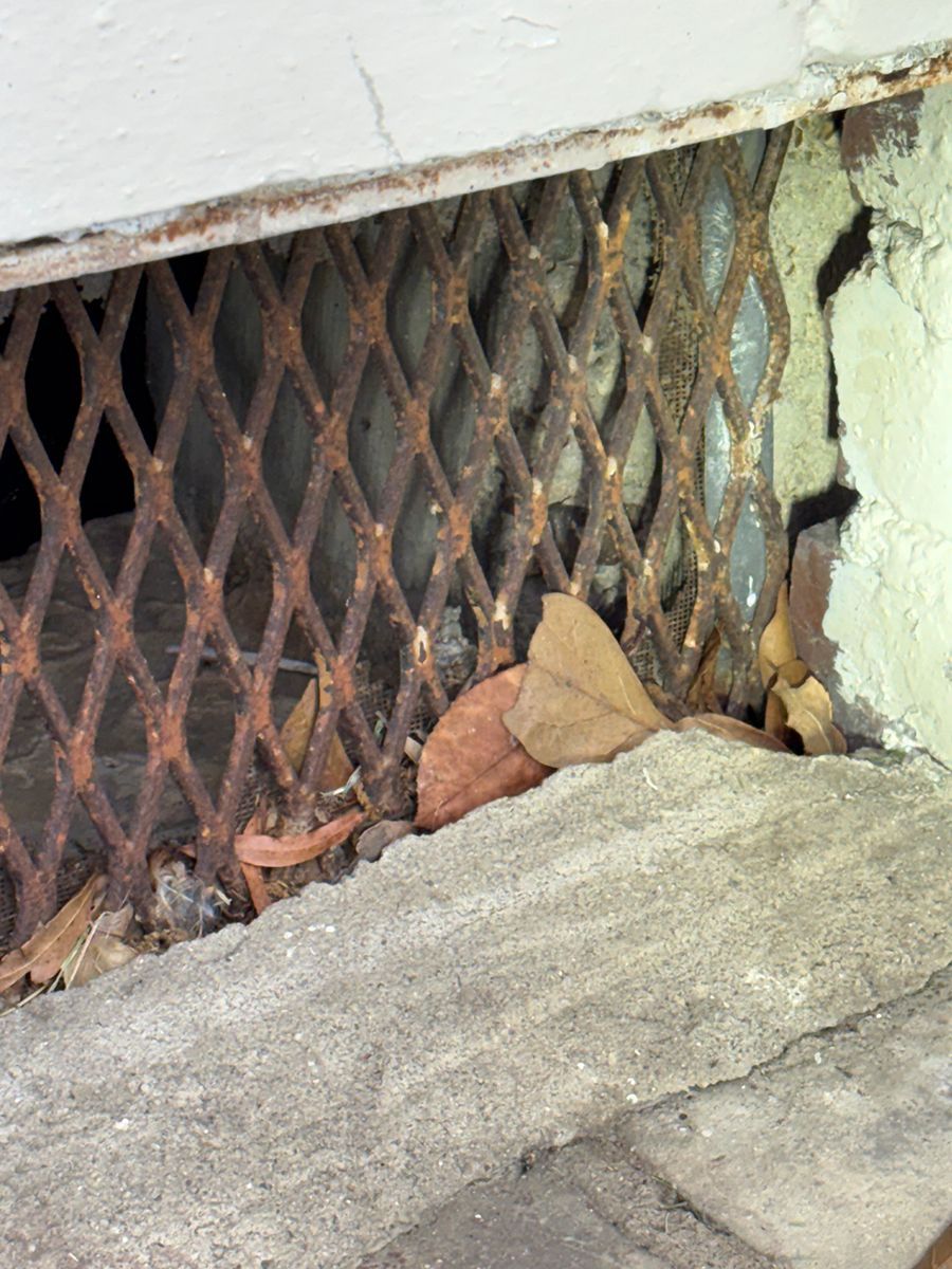 Rusty metal vent grate behind concrete curb with leaves caught in the mesh