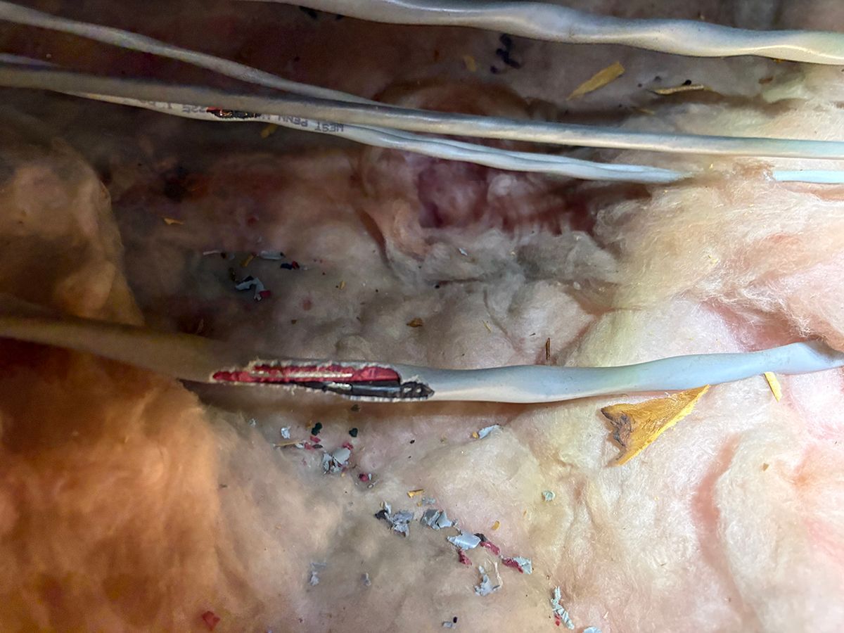 Close-up of a stitched surgical wound with medical tubing across the skin
