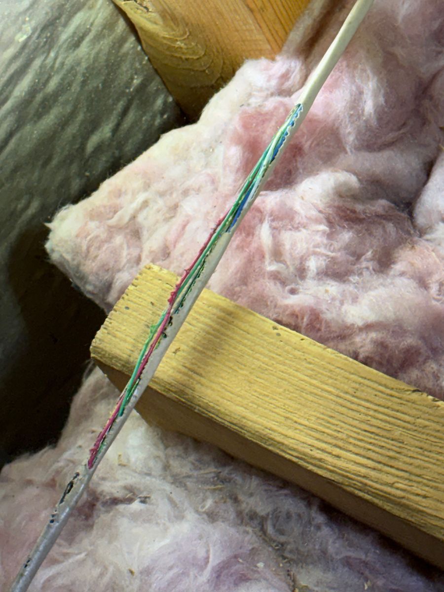 Pink insulation in wooden framing with a cable running diagonally across it.