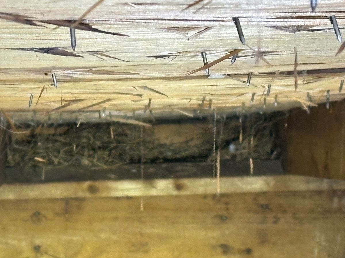 Close-up of a wooden board with a rough ceiling and a dark gap beneath it, lined with insulation staples.