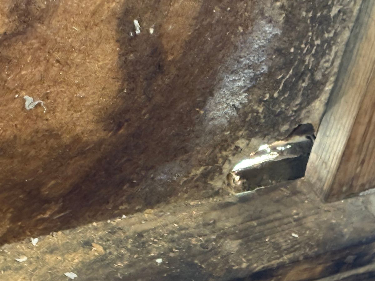 Close-up of a wooden surface with a rough, brown texture and a small metal bracket at the edge.