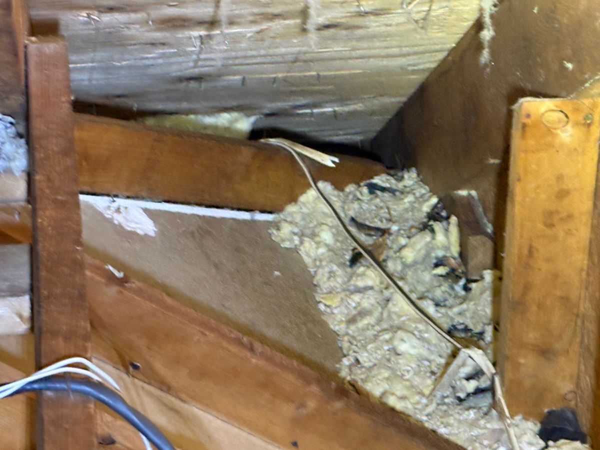 Broken wooden structure with exposed insulation and loose wiring inside a damaged wall cavity
