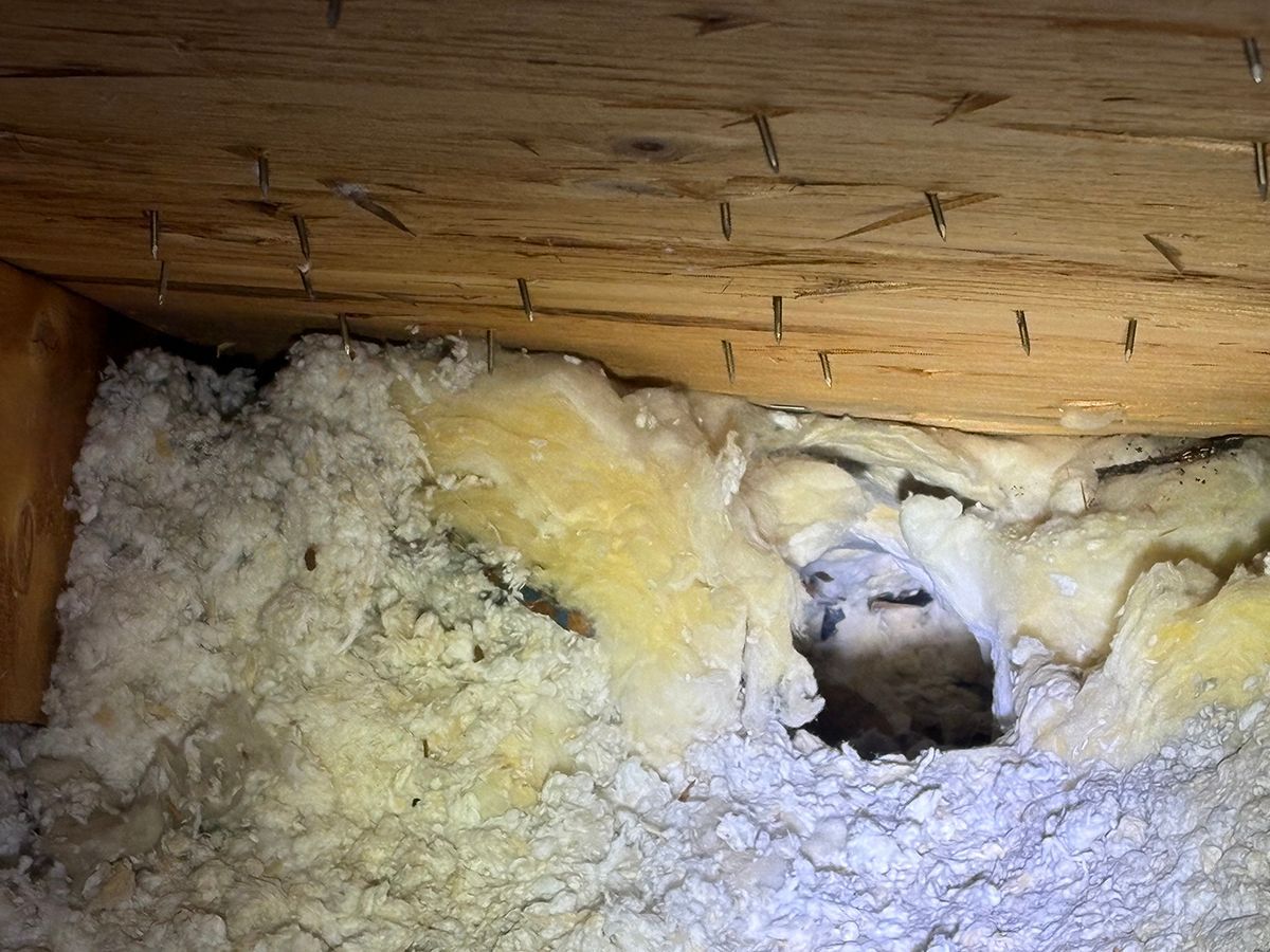 Foam insulation inside a wooden attic space, with a small dark hole in the center