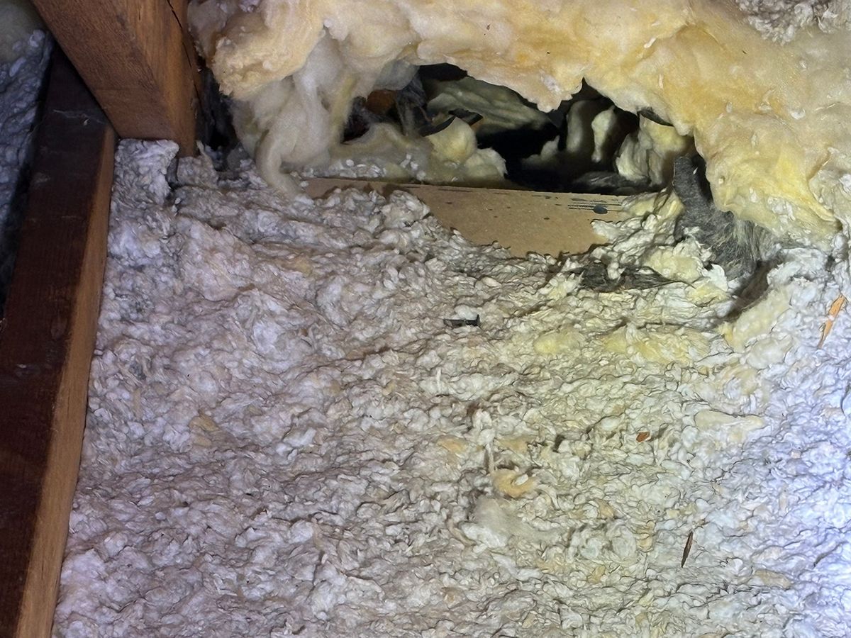 Damaged insulation around a hole in a wall or ceiling, with exposed opening and torn yellow foam