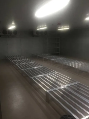 Empty industrial cold storage room with metal shelving units illuminated by ceiling lights.