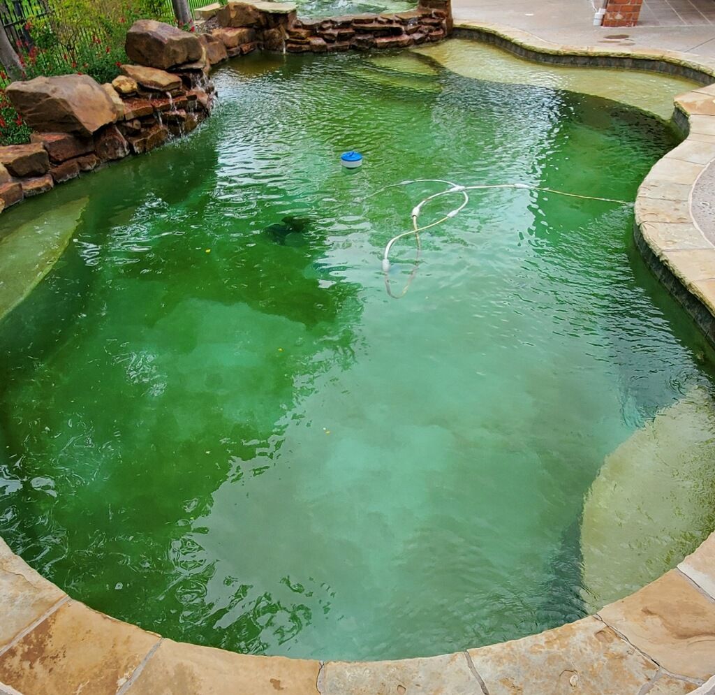 A green swimming pool with a blue float in it