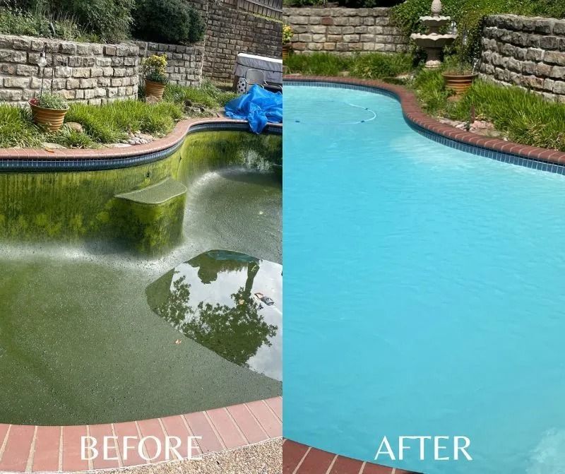 Before and after photos of a swimming pool. Before: green, algae-filled water. After: clean, blue water.
