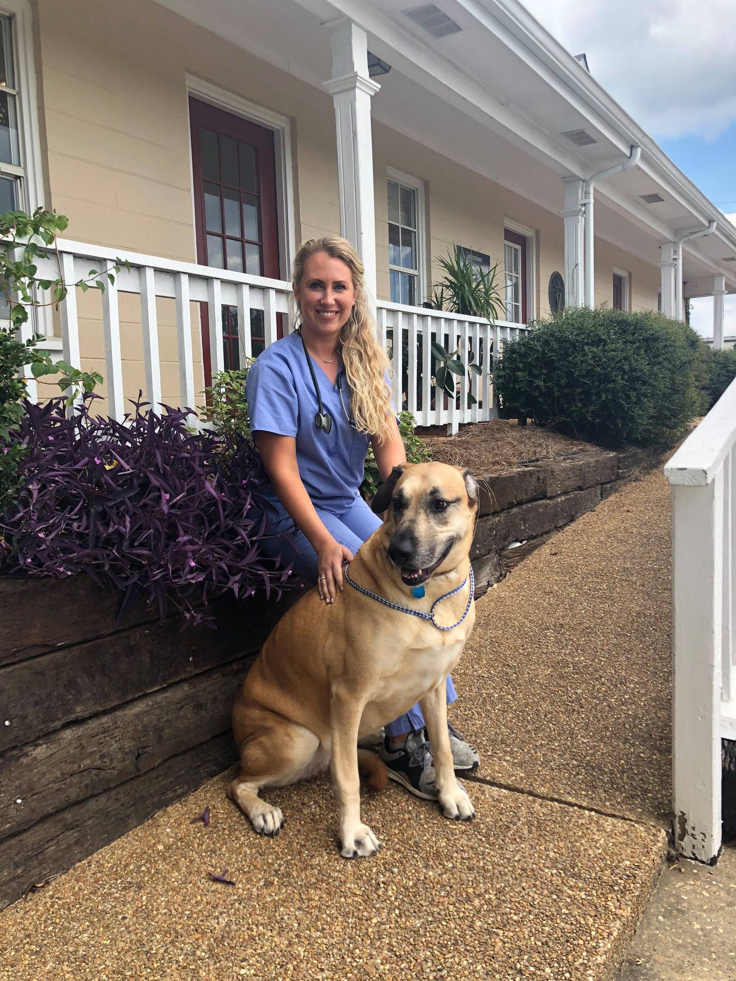 Lakeland Animal Clinic Photo Gallery Flowood, MS