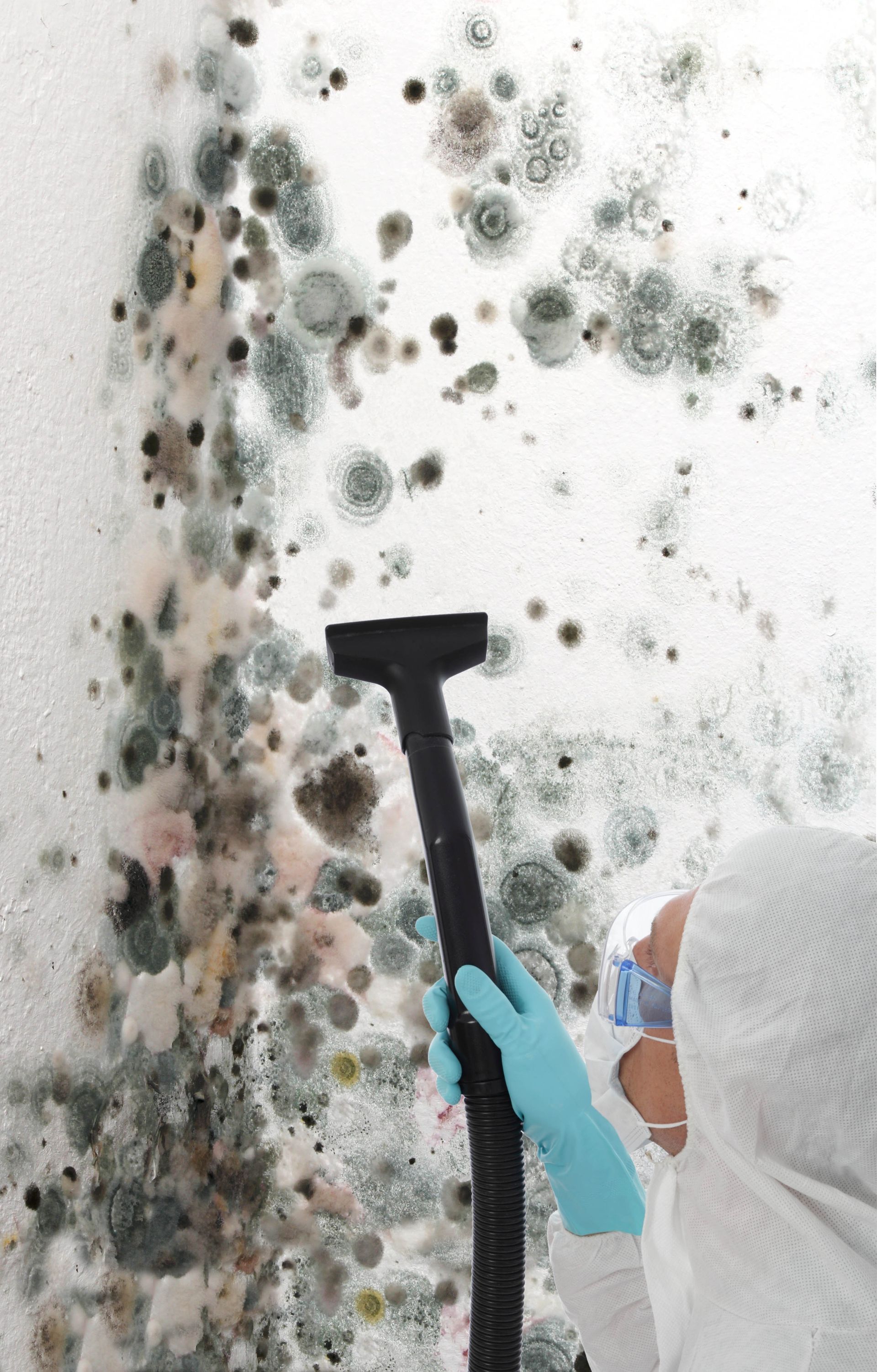 Person in protective gear cleaning mold from a wall with a vacuum tool.