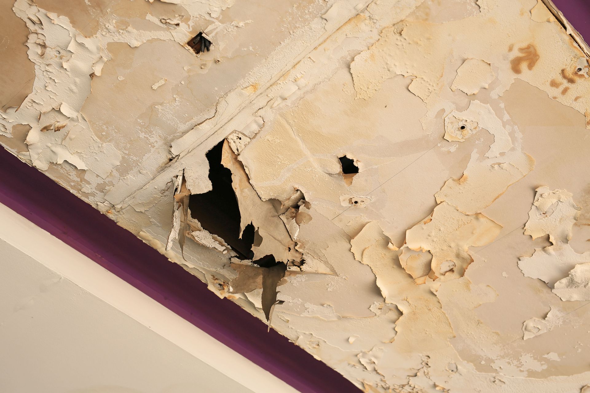 water damage repair services