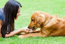 woman with a dog at the park