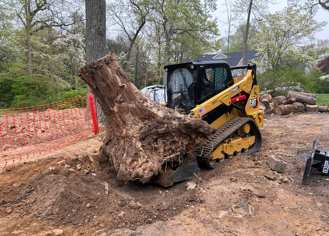 A bulldozer is moving a large tree stump in a dirt field.