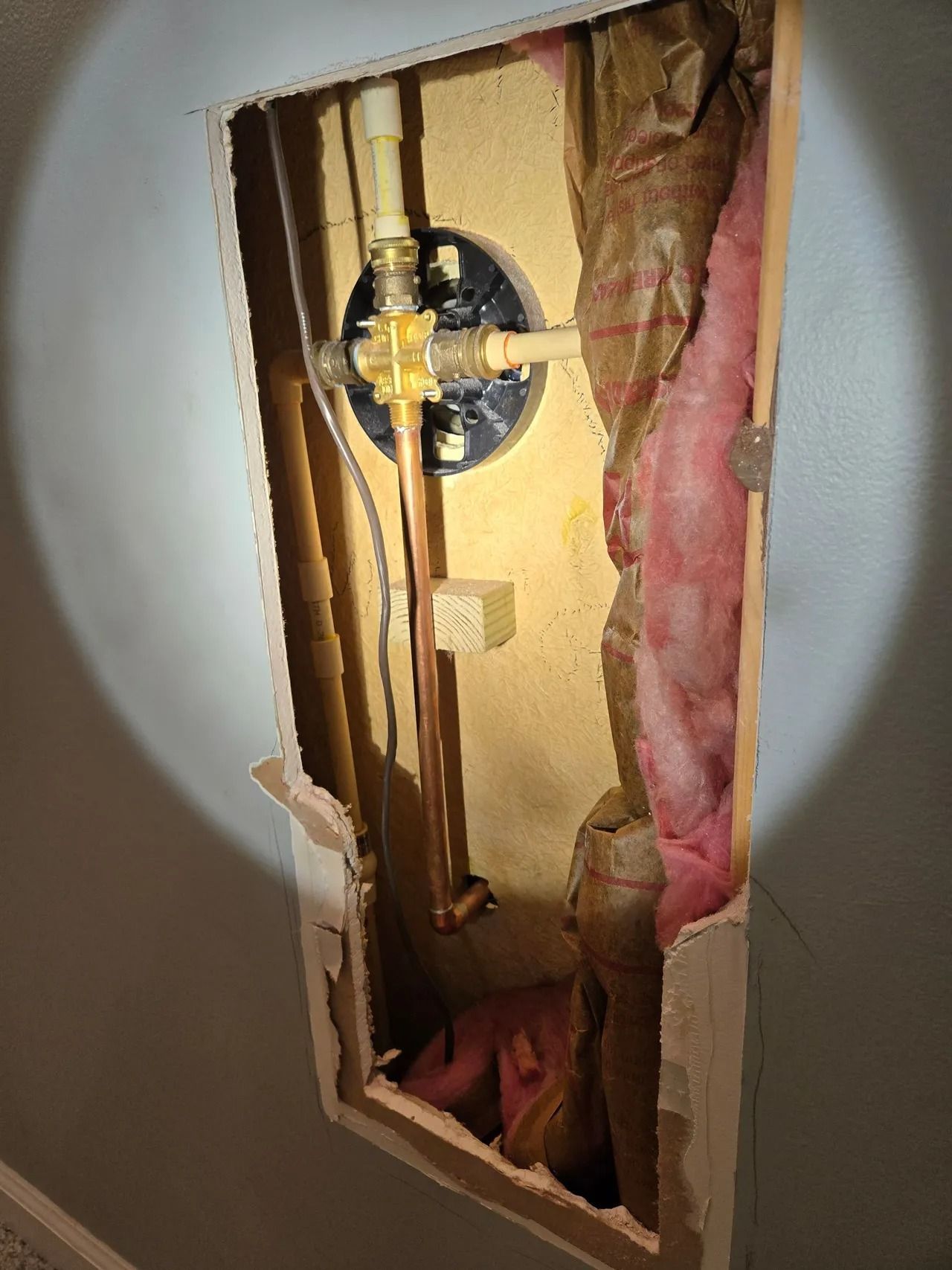 Plumbing fixture and pipes exposed in a wall cavity, surrounded by insulation and wooden frame.