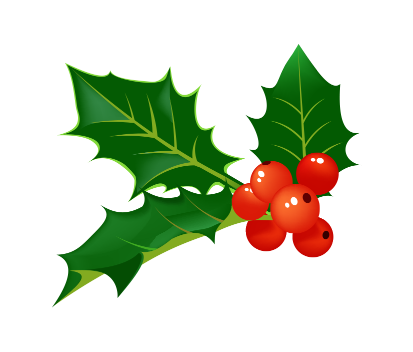 Holly leaves with red berries.