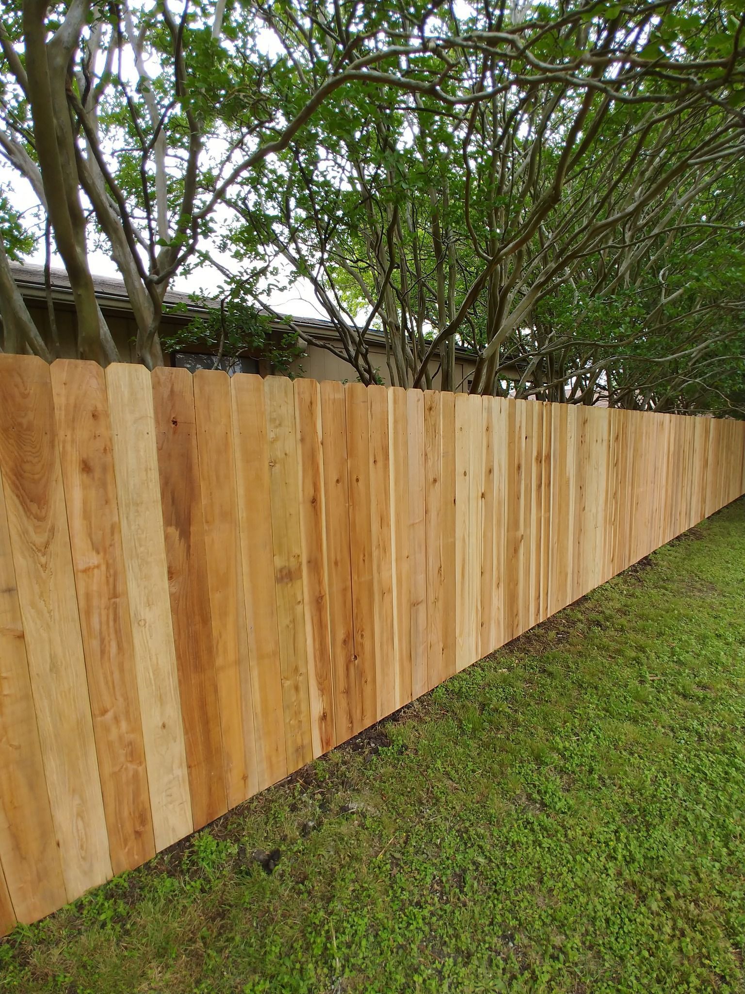 Wooden fence in a grassy yard, with trees in the background.