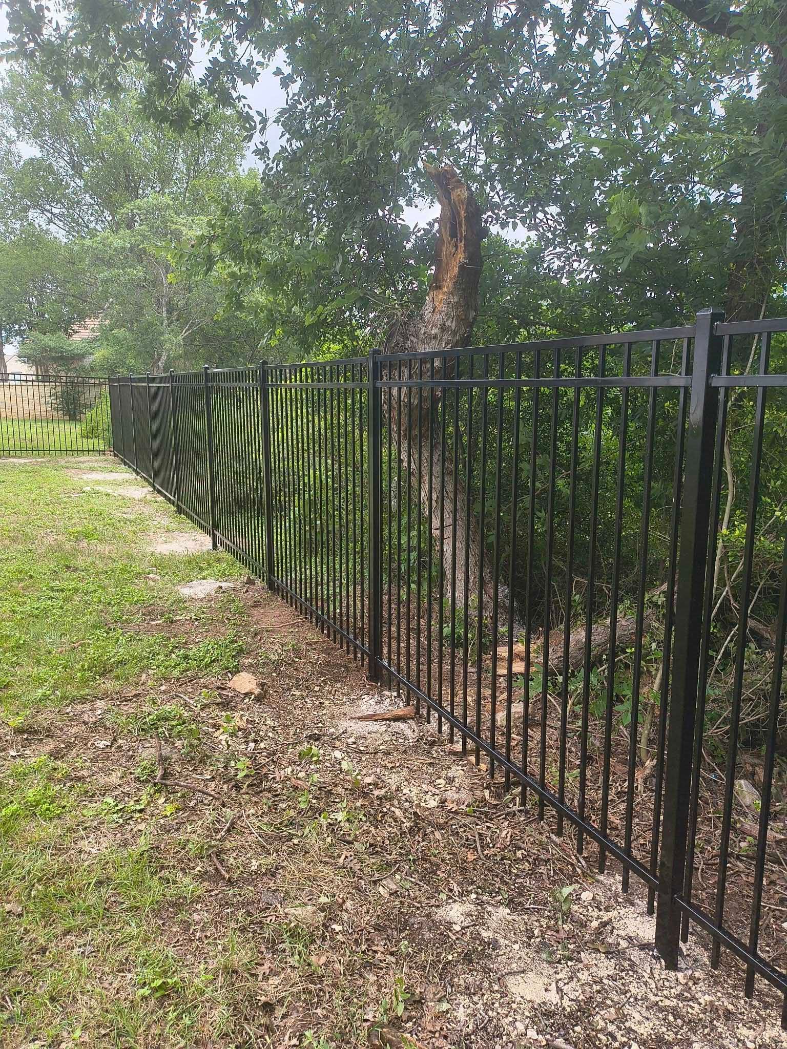 Black metal fence along a grassy area, trees in the background.