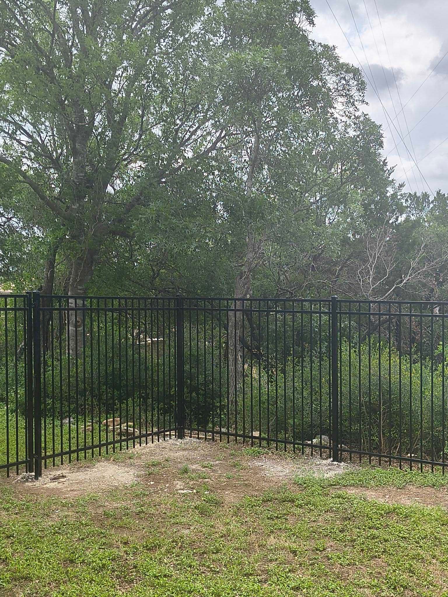 Black metal fence in front of a tree, on grassy ground. Overcast sky.