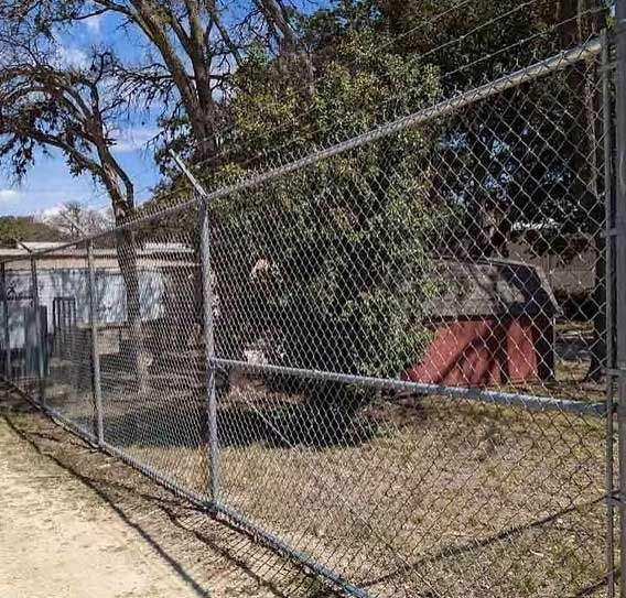Chain-link fence in front of a house and red shed; trees in background, sunny day.