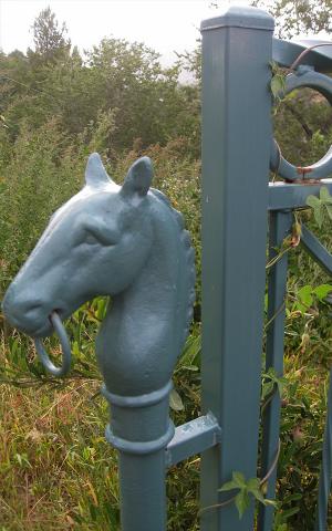 Custom wrought iron gate