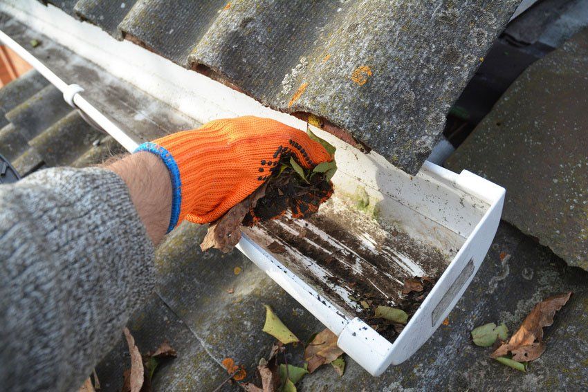 Gutter cleaning