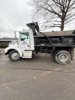 White dump truck with black bed, parked on pavement, under a tree.