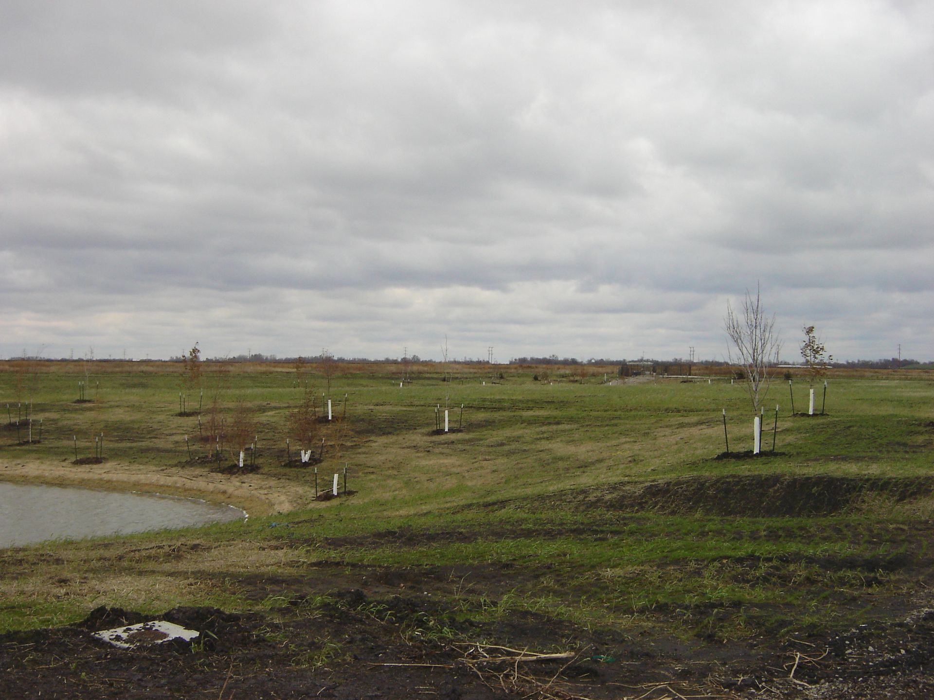 A field with trees and a body of water in the background