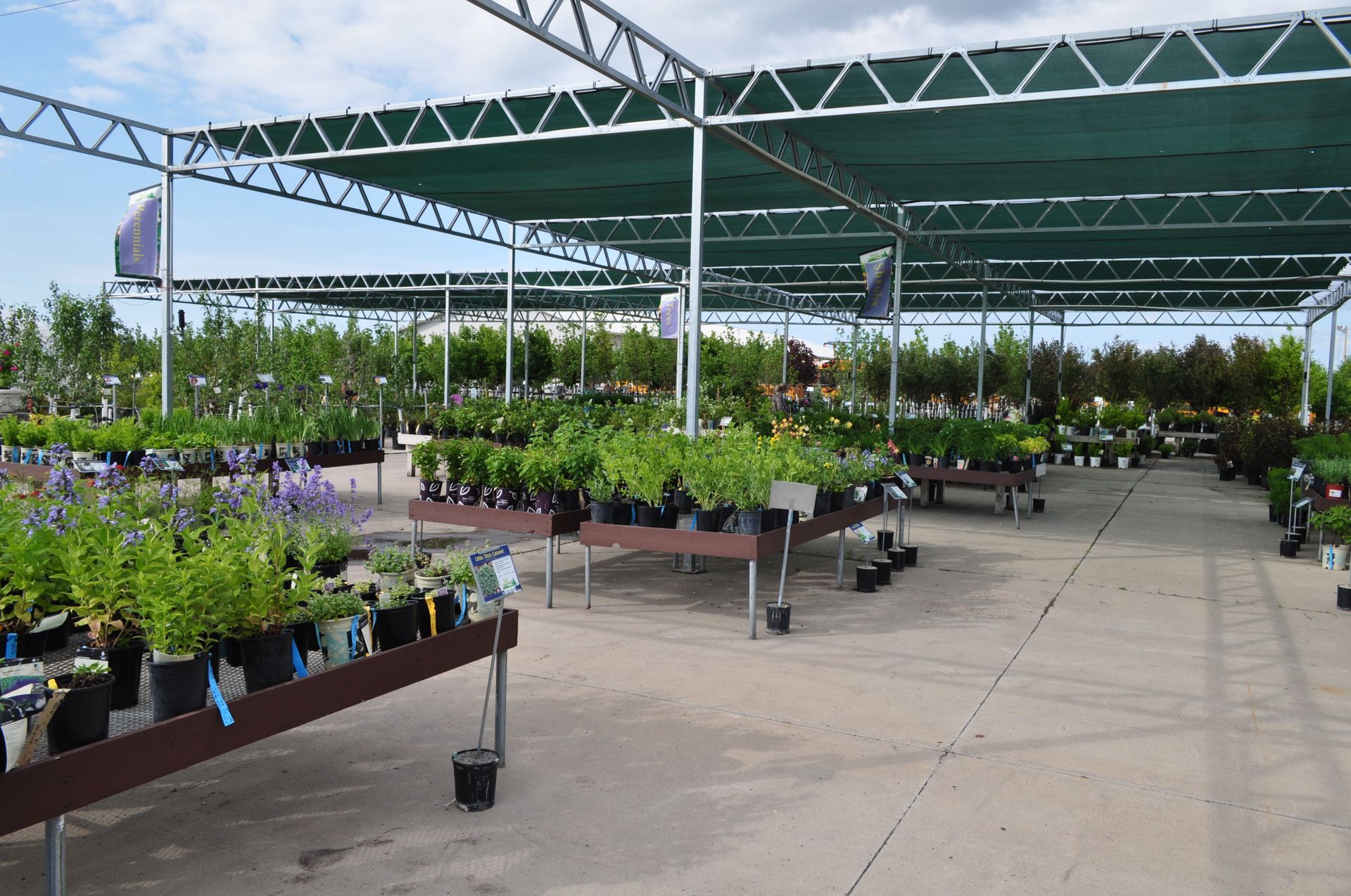 A garden center filled with lots of potted plants