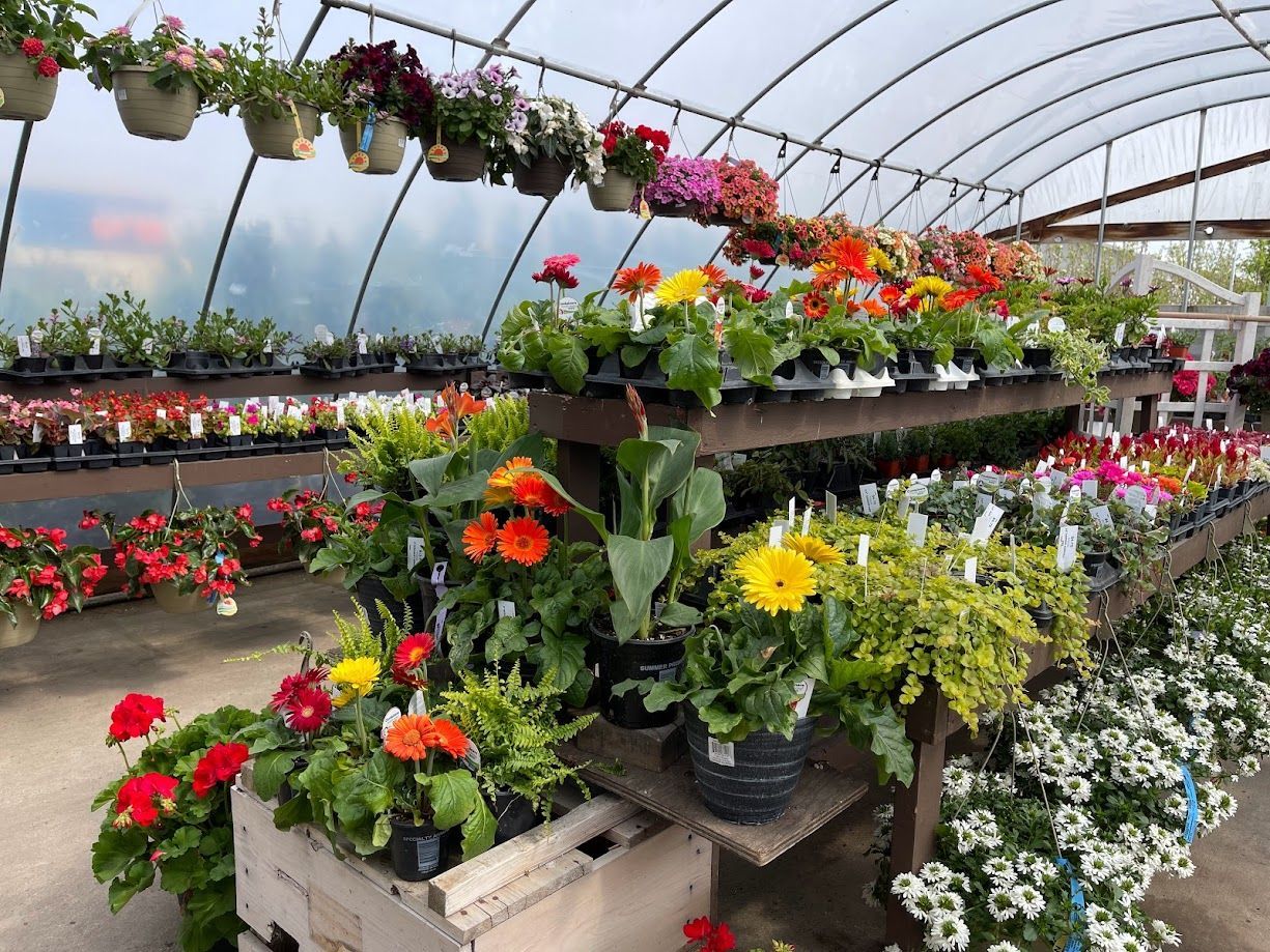 A greenhouse filled with lots of potted plants and flowers.