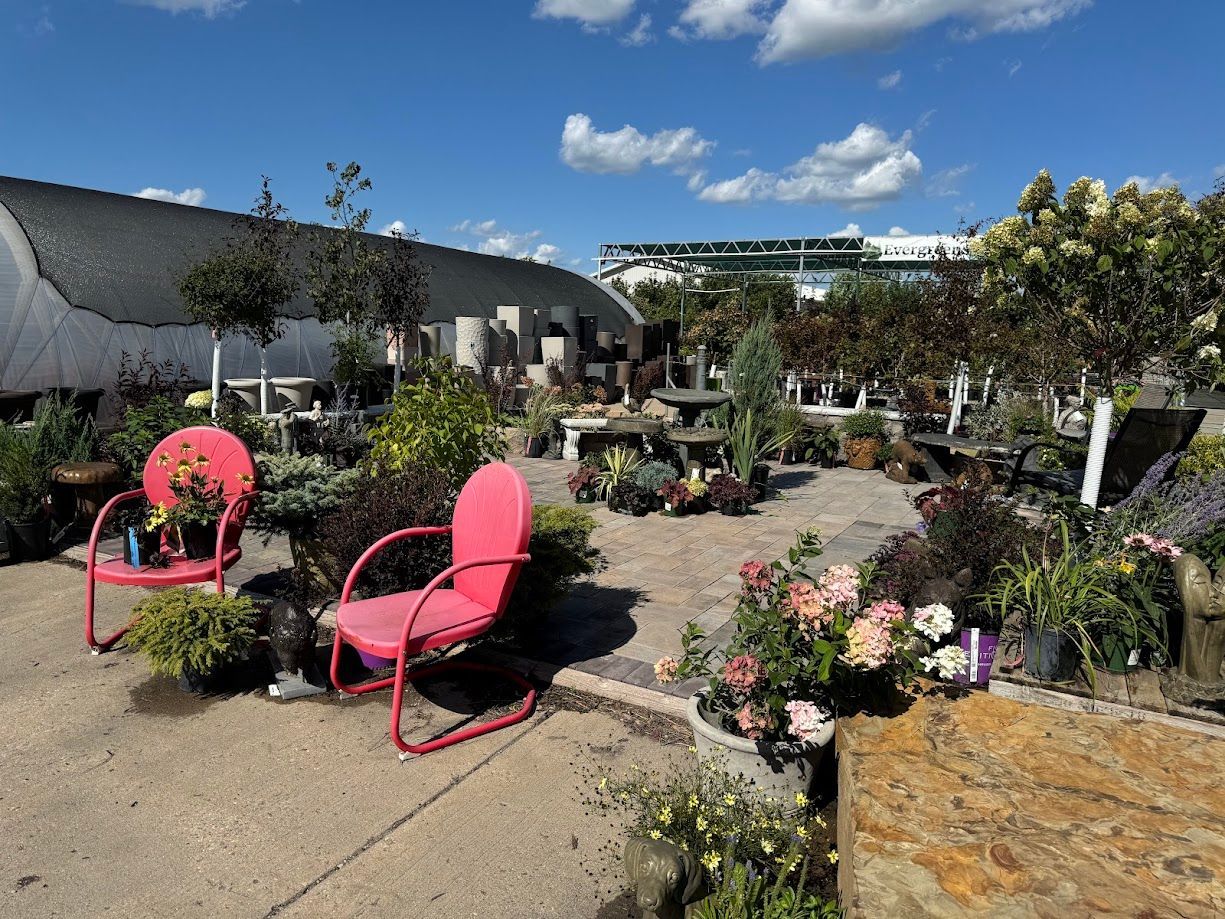 Two pink chairs are sitting in a garden surrounded by potted plants.