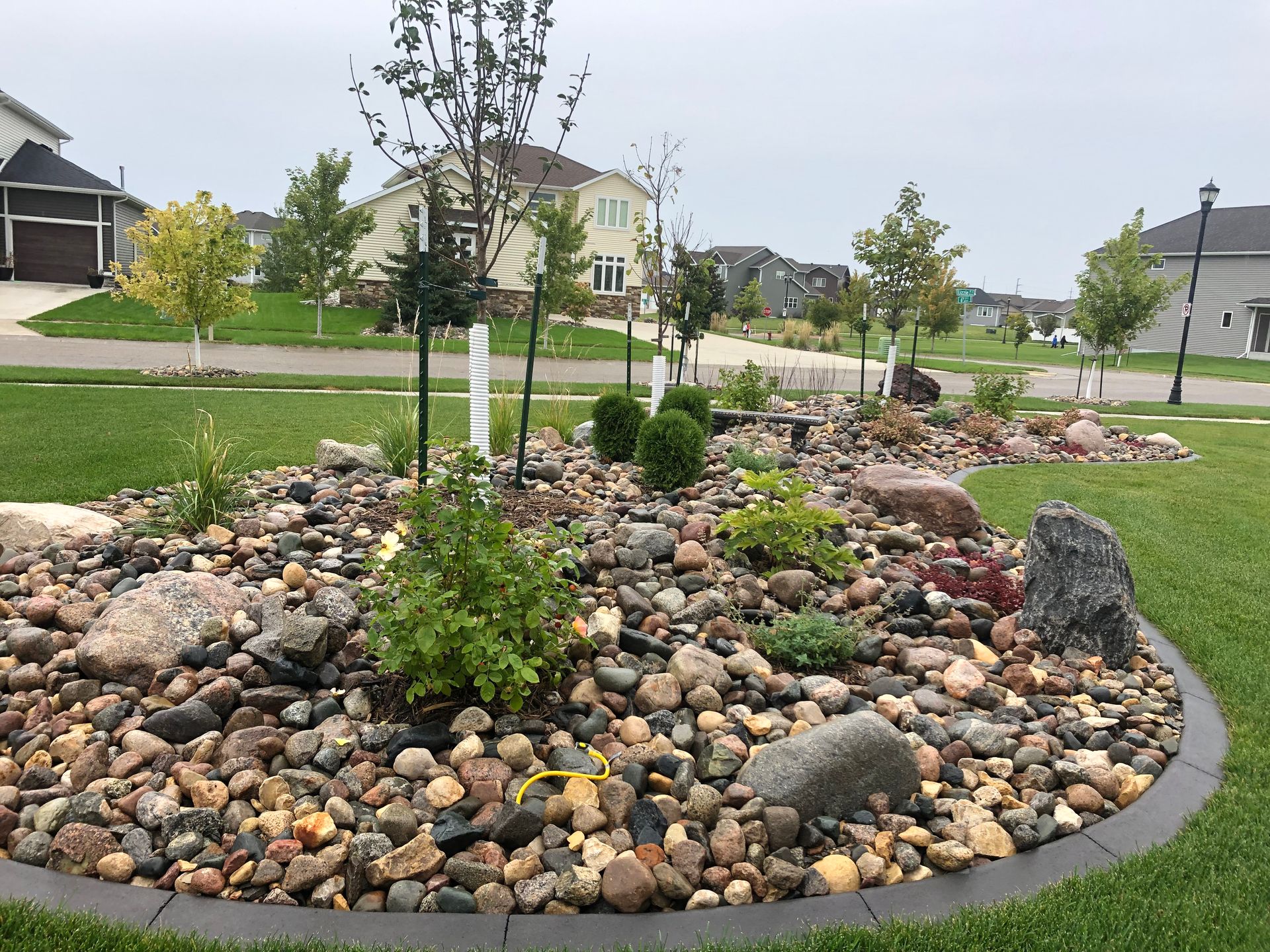 A garden filled with rocks and plants in a residential neighborhood.